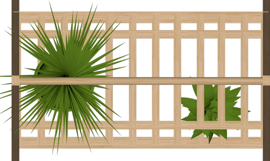 植物架